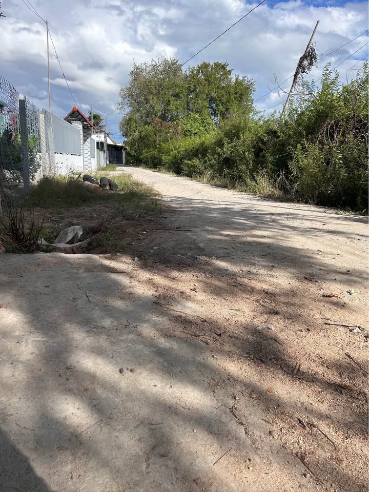 Đất Nông Nghiệp Lô Góc 330m² Ninh Thuận - Vườn Cây Ăn Trái, Sổ Hồng Sẵn Sàng