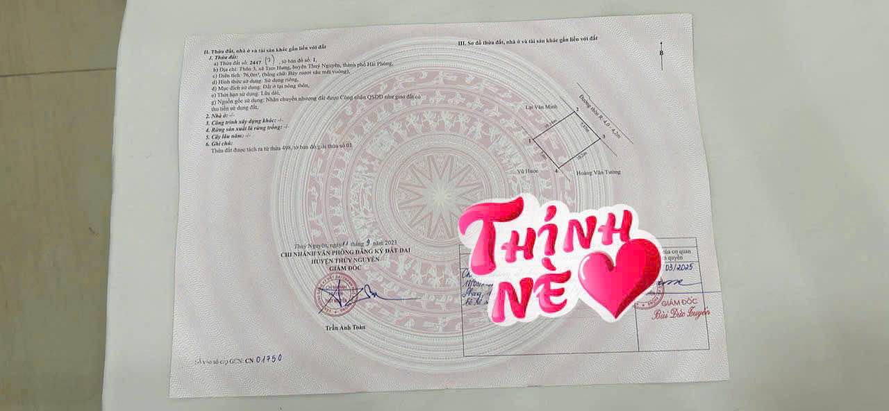 Bán đất Tam Hưng Thủy Nguyên 76m² - Chính chủ, ô tô tránh