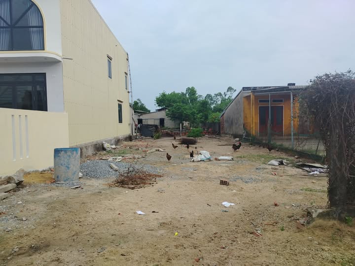 Đất Nền 135m² Trục Chính Bình Trung, Bình Sơn - Giá Tốt Đầu Tư