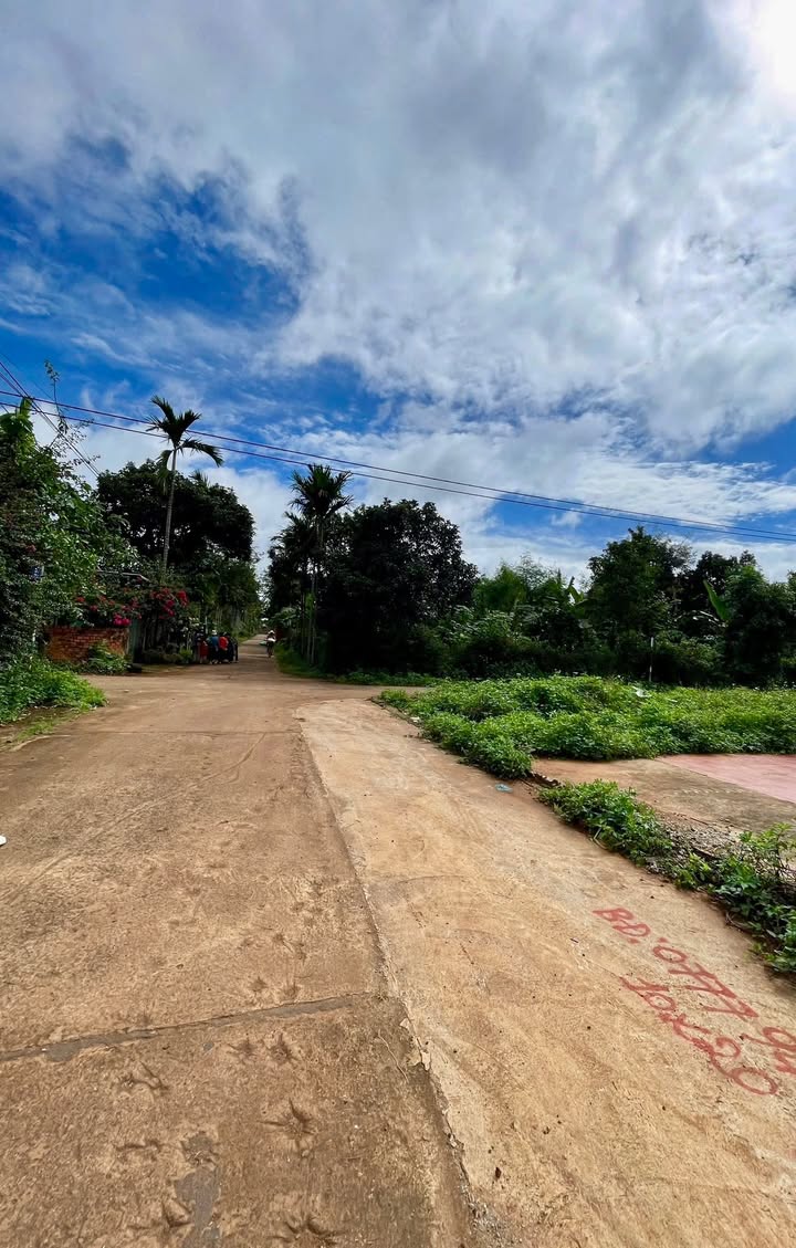 Đất Nền Mặt Tiền N7 - Tân An, Buôn Ma Thuột - 100m² - Giá 1.485 Tỷ