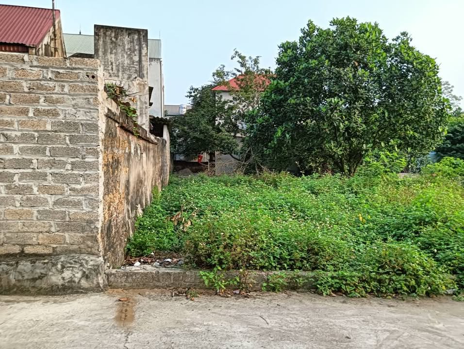 Bán đất 113.7m² Xuân Khanh, Ba Vì - 2 Tỷ Nhỉnh, Hai Mặt Tiền Đẹp