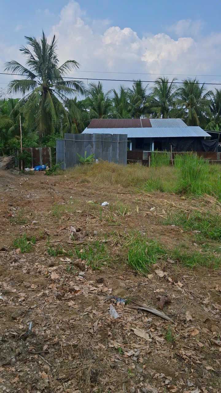 Đất Nền 100m² Mặt Tiền 200m Đến Chợ Tân Hội, Cai Lậy - Giá 600 Triệu