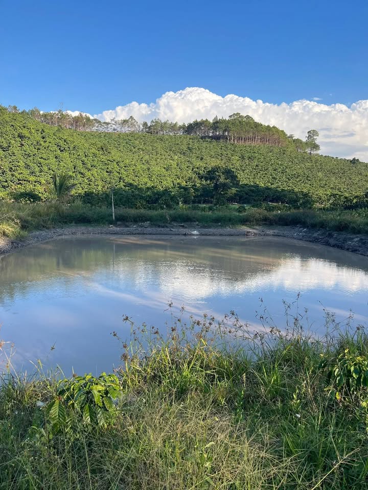 Bán Đất Vườn 3ha Xã Phi Liêng, Đam Rông - Giá Đầu Tư 5.2 Tỷ