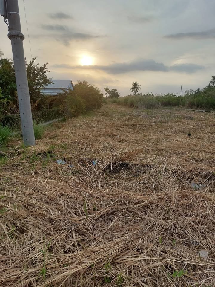 Bán Đất Nền 108m² Thổ Cư, Sổ Hồng Sẵn - Đầm Dơi, Cà Mau