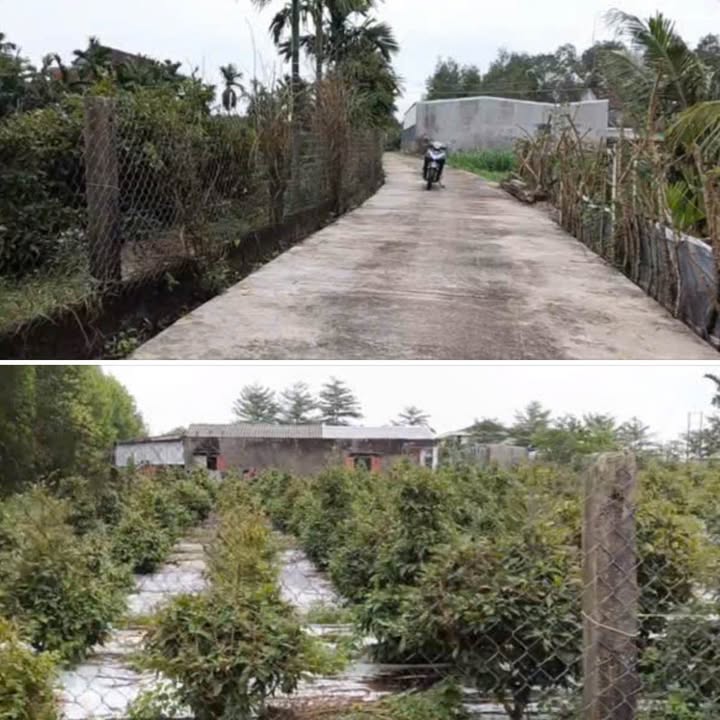 Đất Nền Tịnh Phong - 130m² - Gần KCN - Giá 495 Triệu