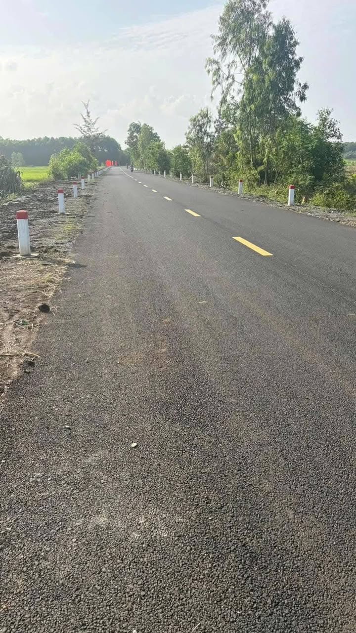 Đất Nền Bình Châu 1400m² - Sổ Hồng Sẵn Sàng - Gần Biển