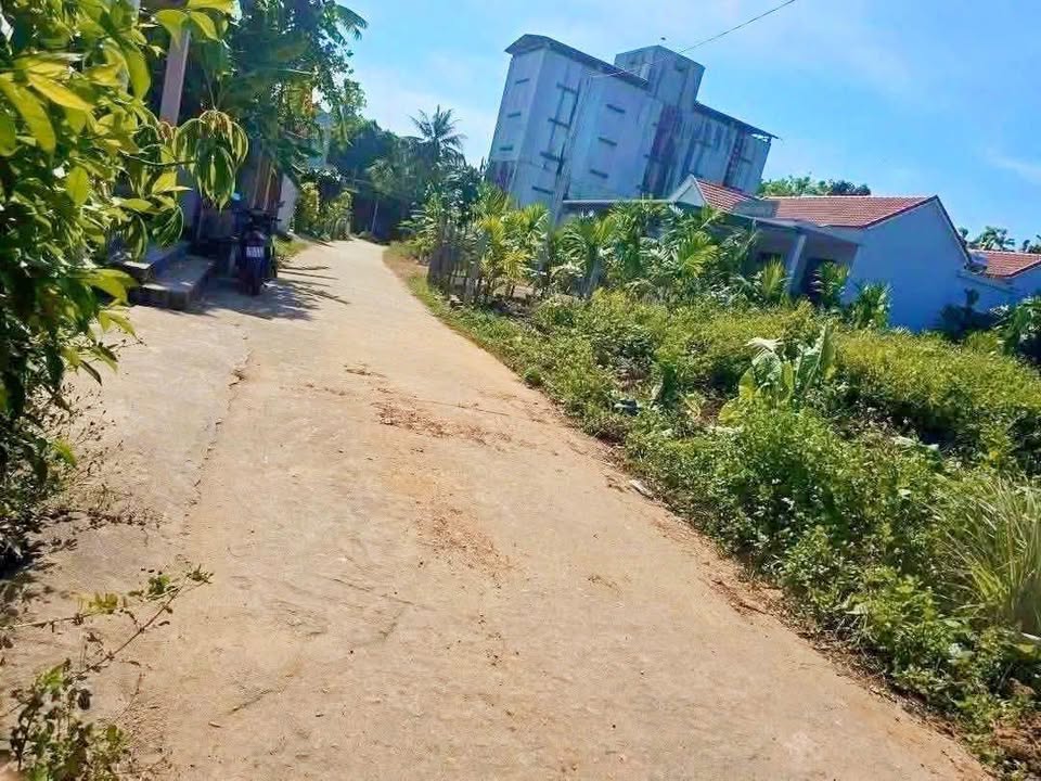 Đất Hẻm Lê Khiết Tư Nghĩa 160m² Hướng Nam - Giá 5.x Tỷ