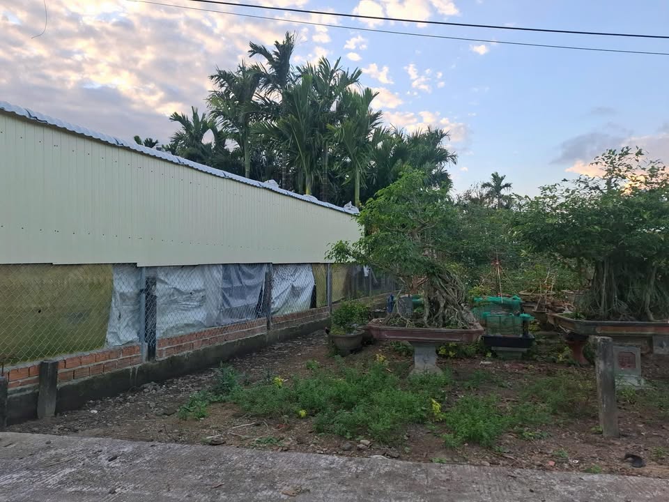 Đất nền 100m² Trương Quang Trọng, Quảng Ngãi - Giá tốt nhất khu vực!