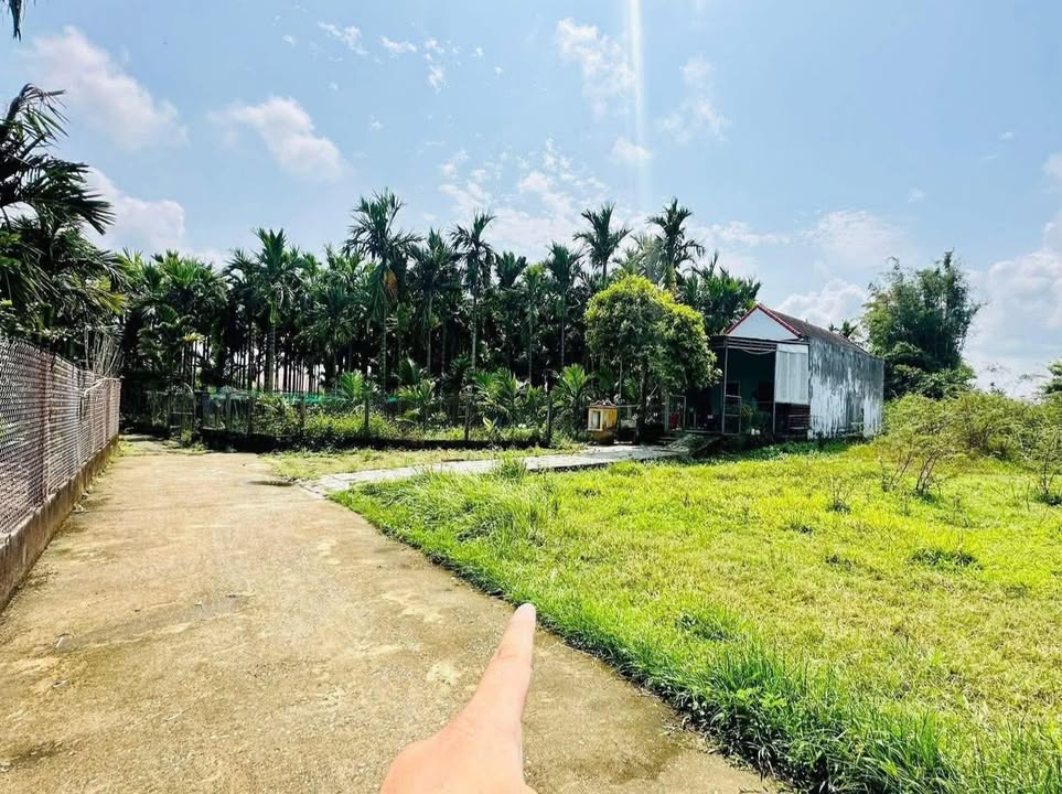 Đất Nền Chính Chủ 127m² Xã Nghĩa Thương, Tư Nghĩa - Giá Tốt