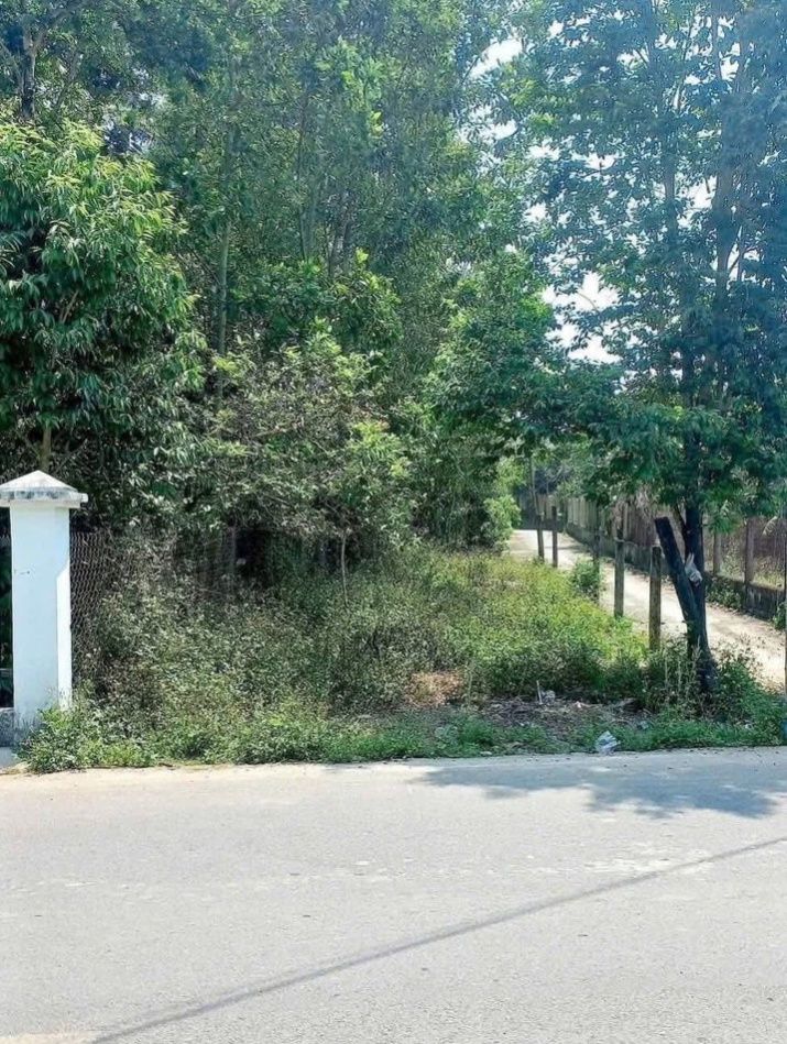 Đất Lô Góc MT Đường Nhựa Bình Sơn 130m² - Giá 1 Tỷ TLCC