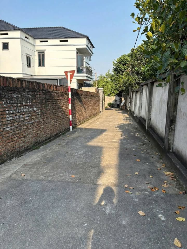 Bán đất Xóm Mai, Việt Trì - 88.6m², giá 1.9 tỷ, khu dân cư sầm uất