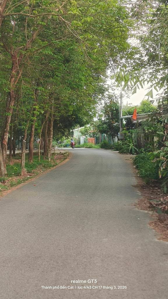 Đất Vườn Bến Cát 2944m² - Mặt Tiền Nhựa, Sổ Hồng Sẵn Sàng