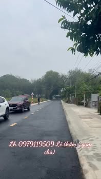 Đất Mặt Tiền DT741, Bến Cát 320m² - Giá 1.6 Tỷ, Sổ Hồng