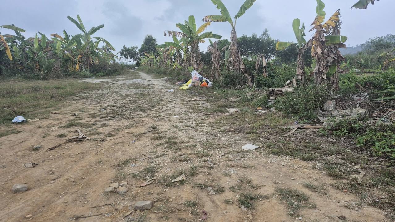 Bán Gấp Đất Vàng Chợ Vừng, Hà Trung 108m² - Sẵn Sàng Xây Dựng