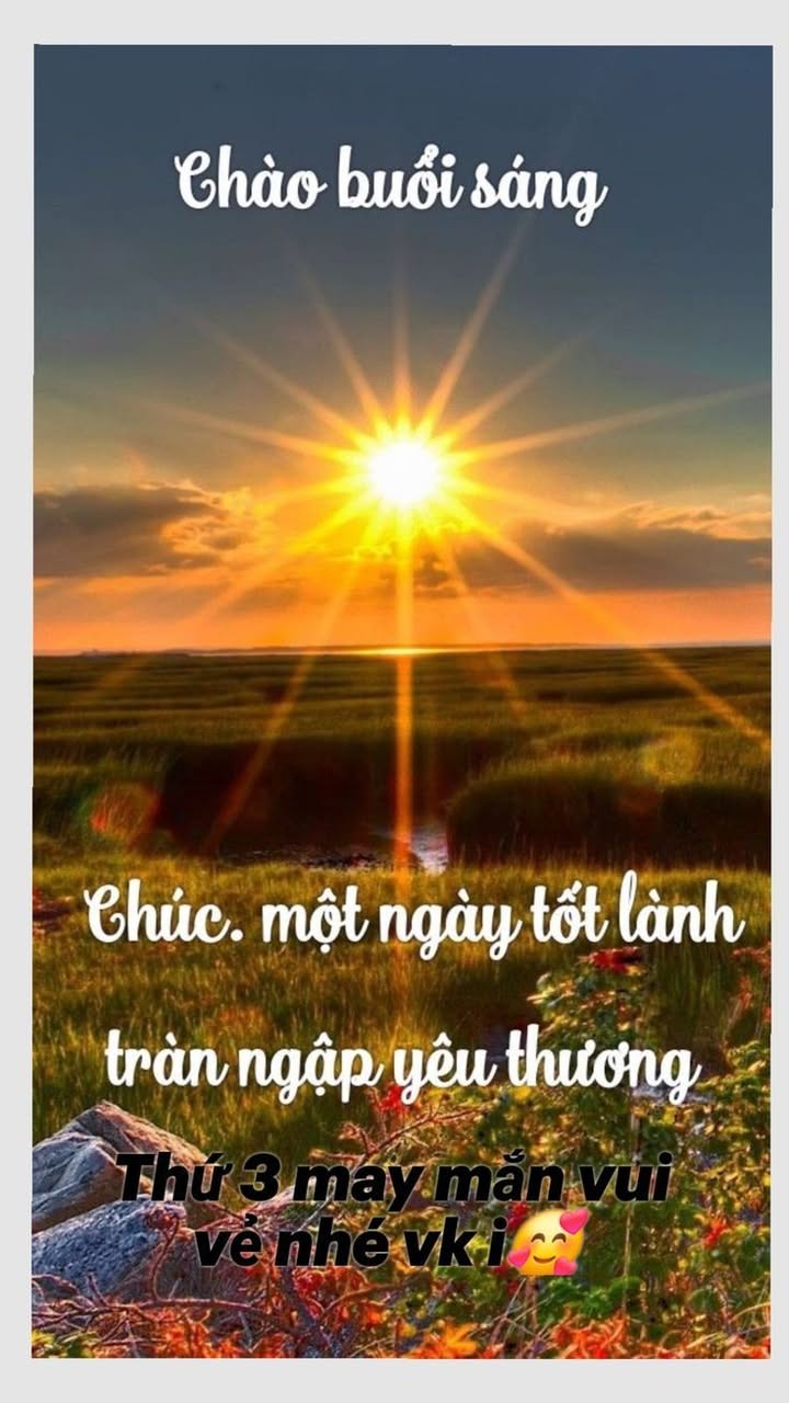 Nhà Mặt Tiền Khúc Hạo Sơn Trà 125m² - Kinh Doanh Sầm Uất, Giá 11 Tỷ