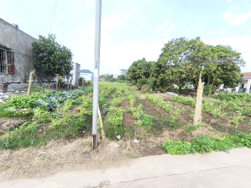 Đất 460m² Nghĩa Hưng, Nam Định - Sổ đỏ 88 thổ cư, Giá 8xx Triệu