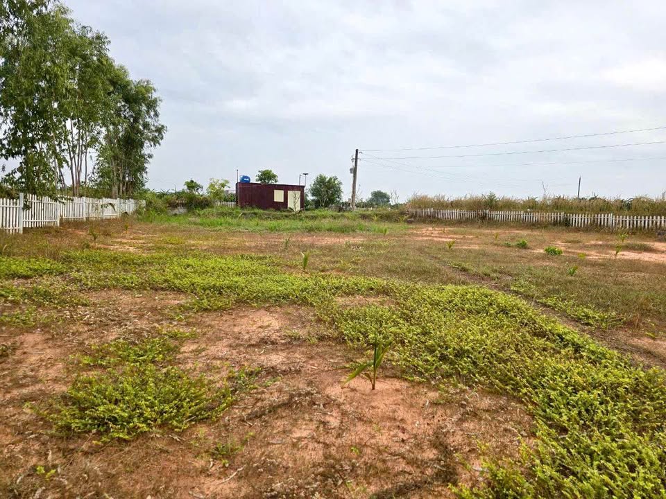 Bán Đất Vàng 10.789m² Mặt Tiền 2 Lộ Giới Thuận Quý, Bình Thuận - Sẵn Sổ Hồng