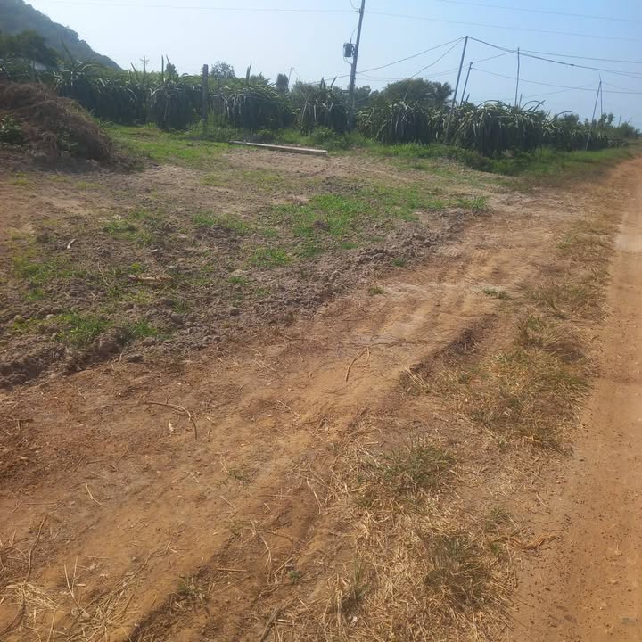 Đất Nền 600m² Sổ Hồng Toàn Bộ - Mặt Tiền Nguyễn Văn Cừ, Hàm Thuận Nam