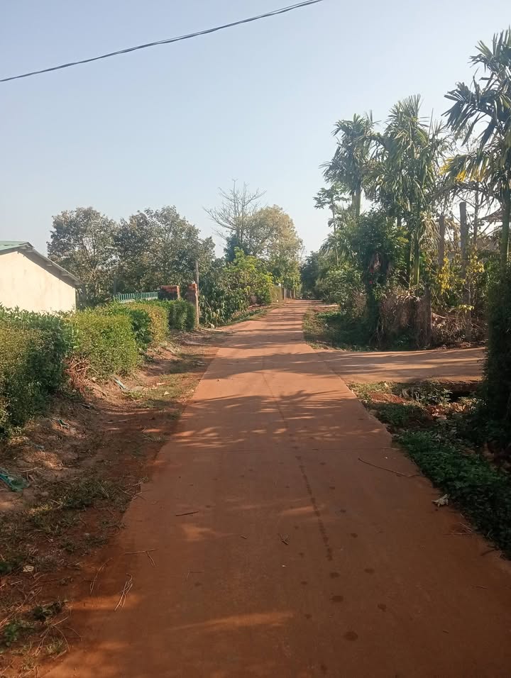 Bán Đất Vườn 1410m² Mặt Đường Bê Tông Krông Búk, Đắk Lắk - Giá 1.35 Tỷ