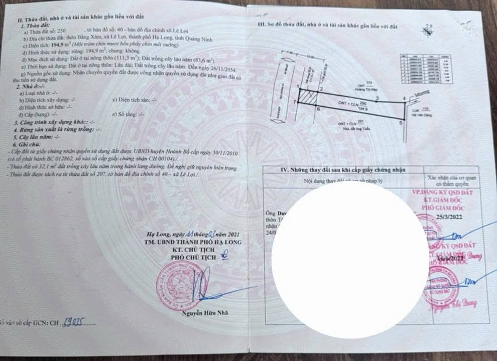 Bán Đất Xã Lê Lợi, Hạ Long 195m² - Sổ Đỏ Sẵn Sàng