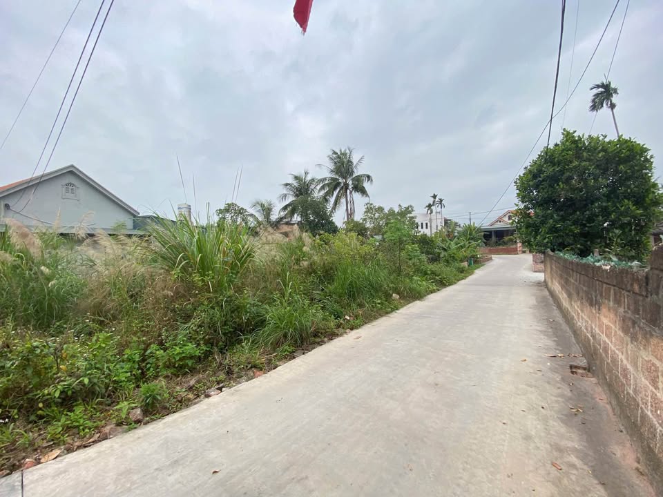 Đất Nền Vĩnh Quang 2 - Mạo Khê: 90m² Thổ Cư, Giá Hơn 500 Triệu, Sổ Đỏ Sẵn Sàng