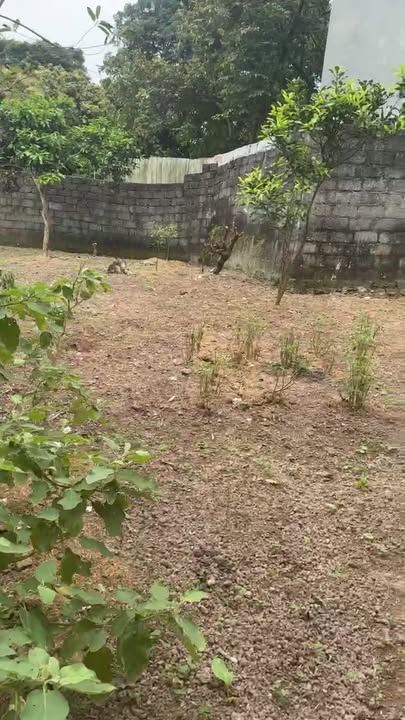 Bán Đất Vàng 566m² Quốc lộ 37, Thái Nguyên - Sổ Đỏ Sang Tên Ngay