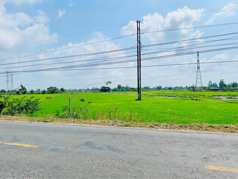 Đất Vườn Đồng Tháp 10 Công - 2 Mặt Tiền Đường ĐT853, Giá 6.5 Tỷ