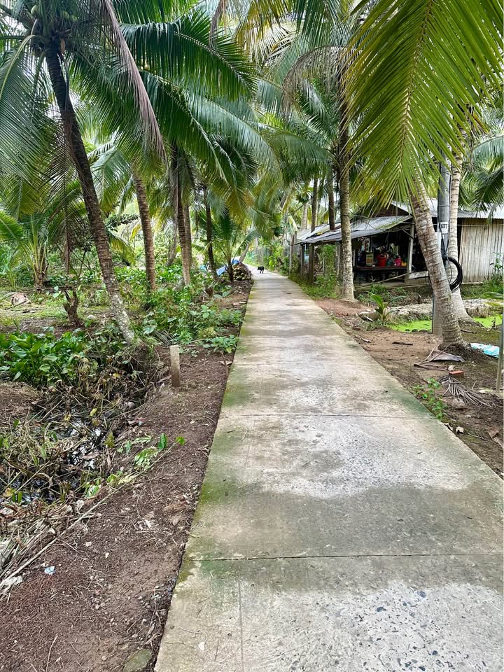 Bán Đất Nền 500m² Xã Bình Trưng, Châu Thành - Giá 700 Triệu