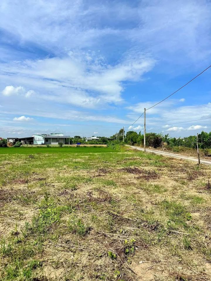 Đất Vườn Tiền Giang 909m² - Sẵn Sàng Xây Nhà, Trồng Cây Ăn Trái