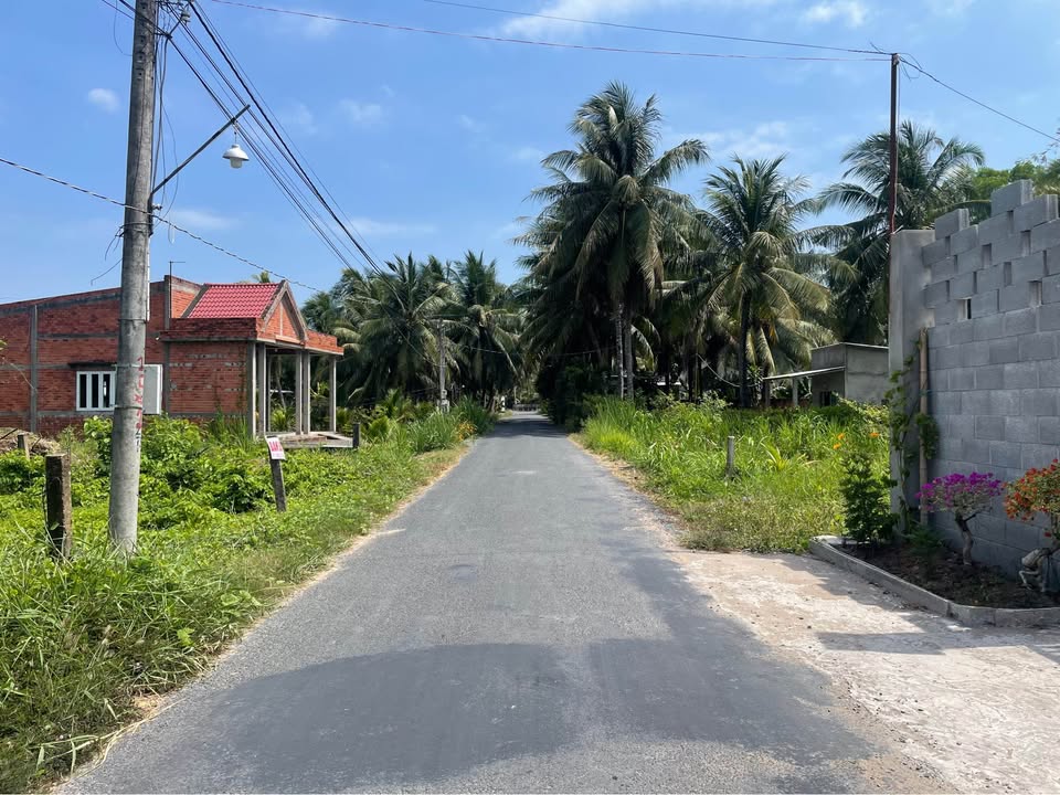 Đất Nền Mặt Tiền Đường Nhựa 546m² - Chợ Gạo, Tiền Giang Giá 1.25 Tỷ