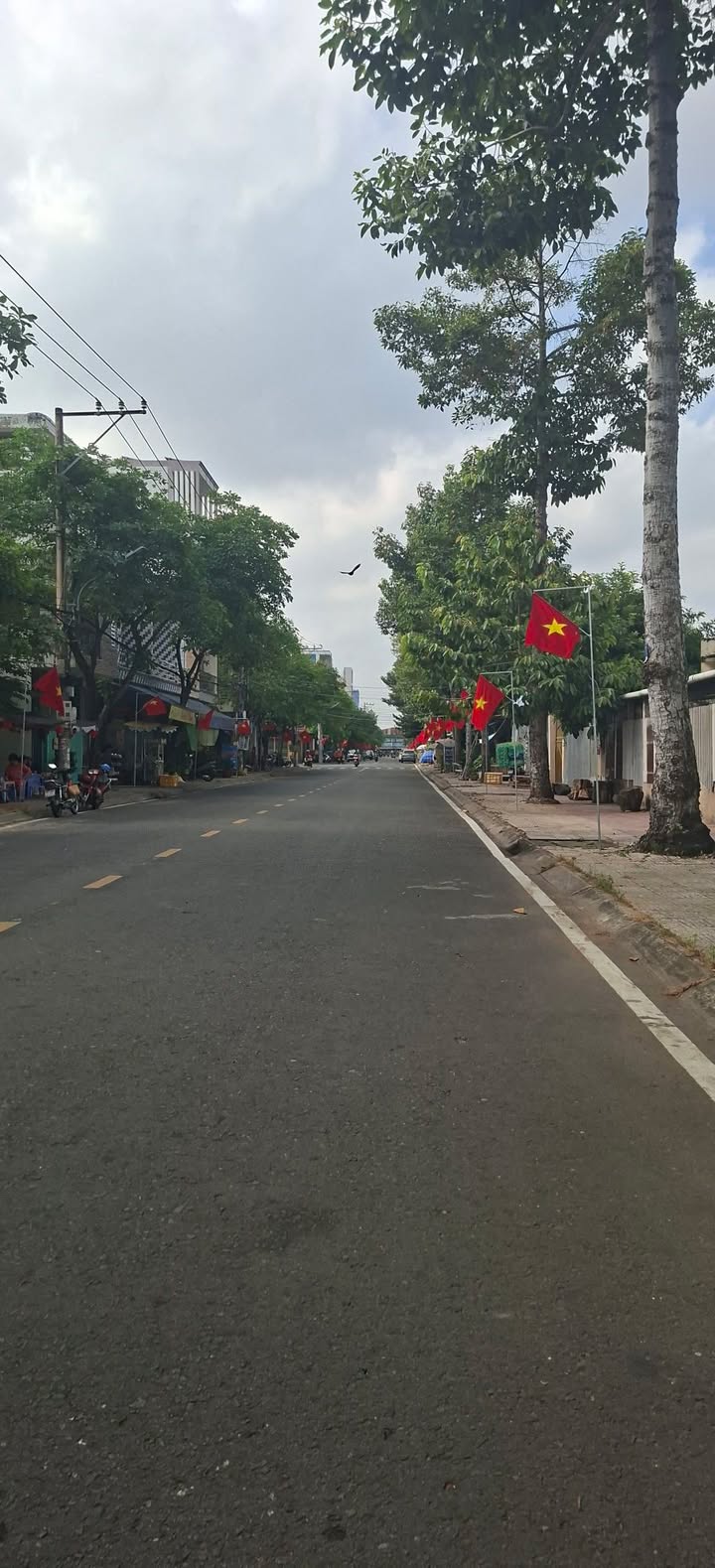 Bán Gấp Đất Mặt Tiền QL50 Mỹ Phong, Mỹ Tho - 729.4m² Kinh Doanh Đa Ngành