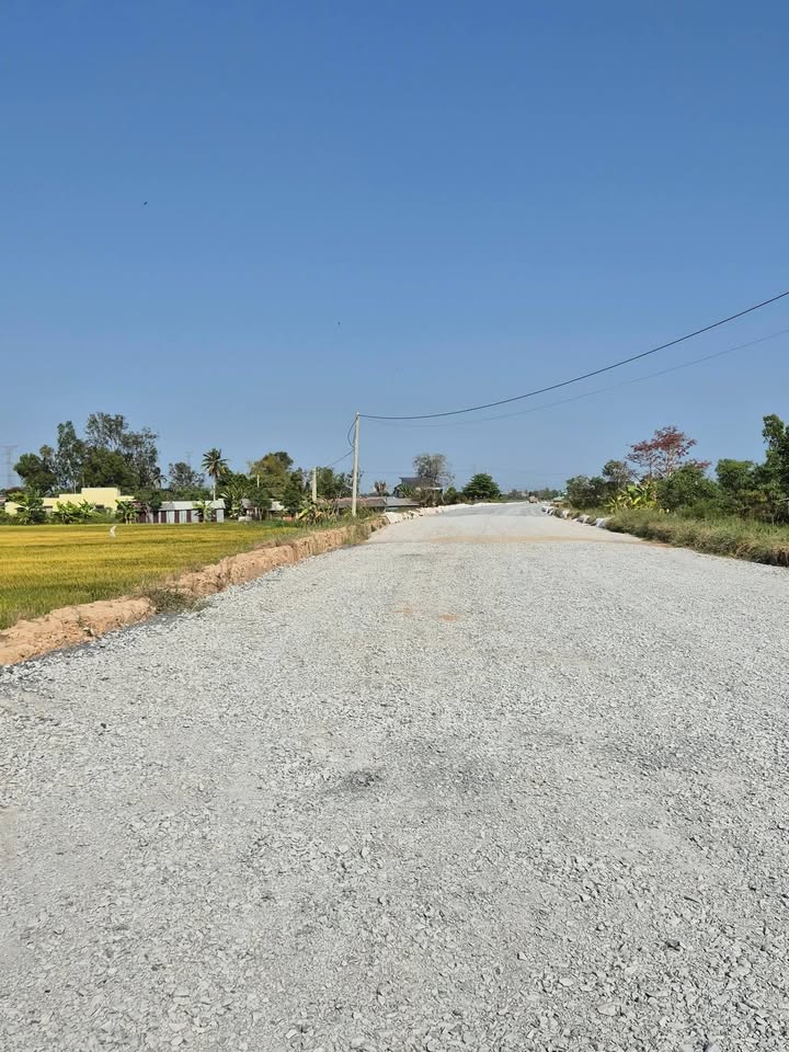 Đất Nền Mặt Tiền Tỉnh Lộ 864, Gò Công Đông - 1000m² Sổ Hồng Giá Tốt