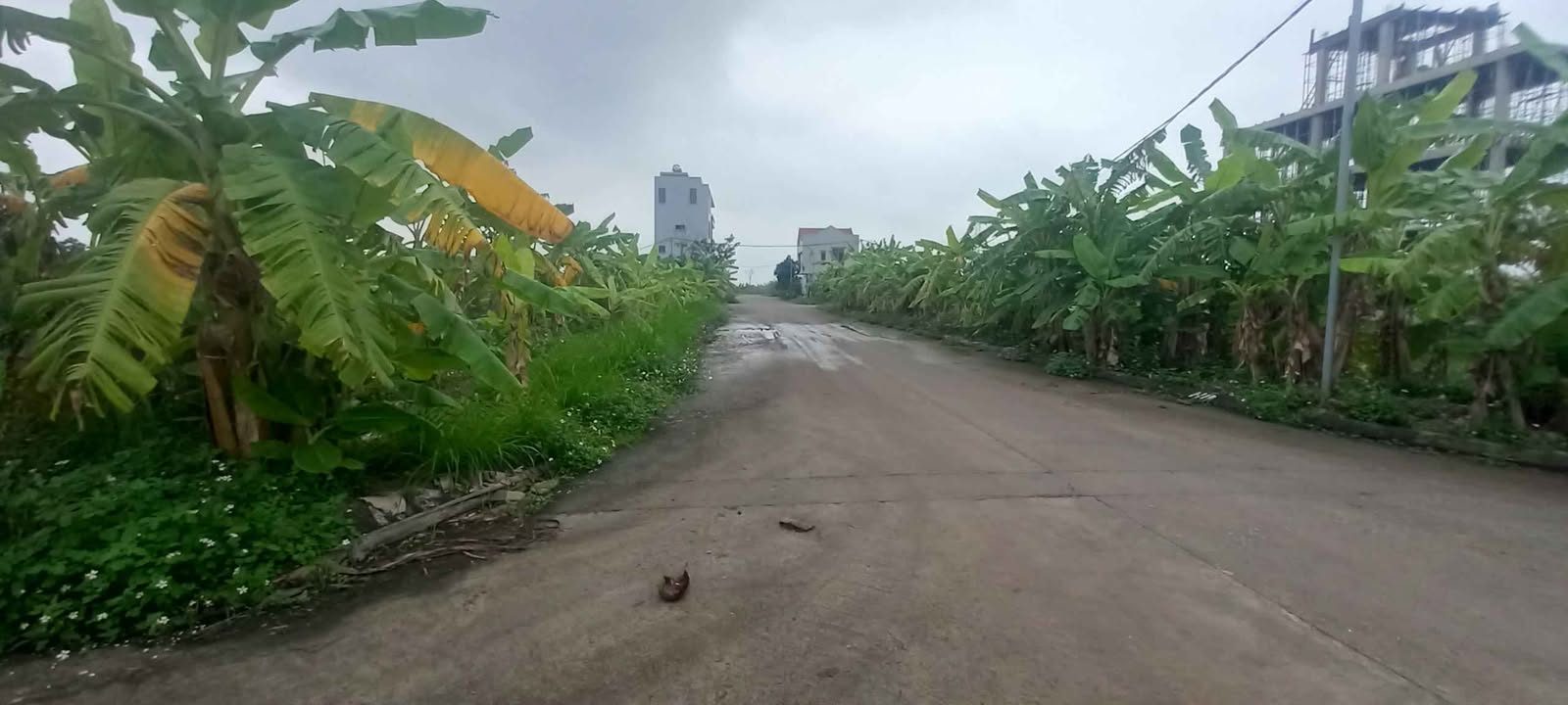 Đất Du Lịch Tràng An 322m² - Sổ Đỏ Sẵn Sàng - Giá Đầu Tư 5 Tỷ