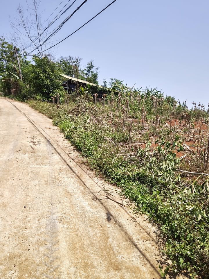 Đất Vườn Buôn Ma Thuột 14400m² - 2 Mặt Tiền Bê Tông, Giá 1.9 Tỷ