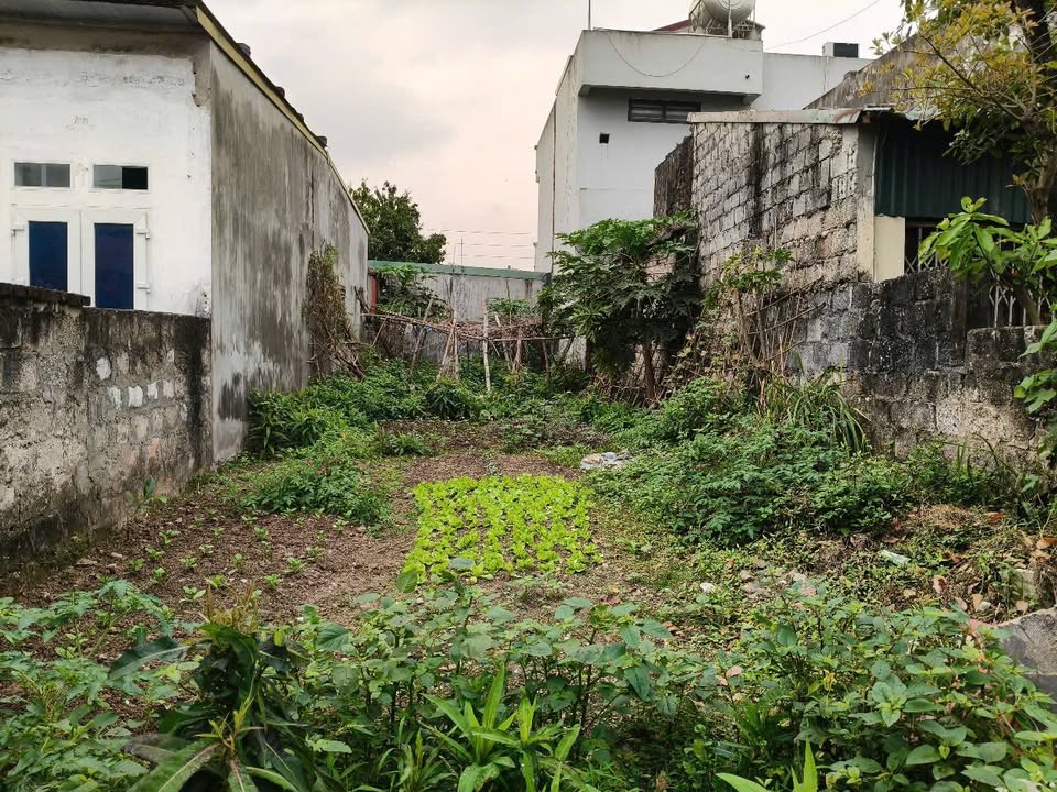 Đất nền Phủ Lý 125m² - Sổ đỏ sẵn sàng, ô tô thông