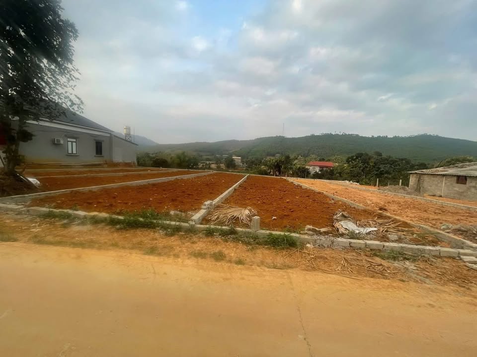 Đất Nền Cự Đồng Phú Thọ: 135m² Sổ Hồng, 2 Ô Tô Tránh Nhau - Giá 3 Tỷ