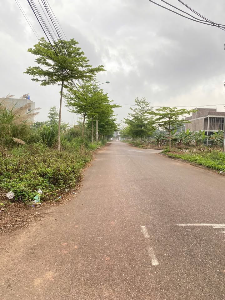 Đất Đấu Giá 90m² Đường 295 Tiên Du - Cơ Hội Vàng Ngay Ngã Tư Đèn Xanh Đỏ