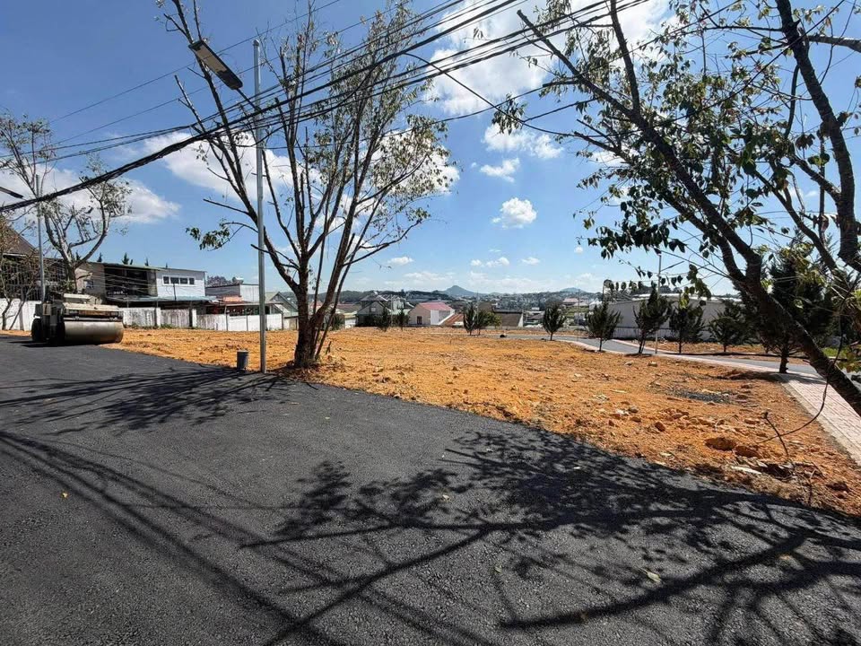 Đất Nền Biệt Lập Đồi Bạch Đằng 200m² - View Đồi Cao Thoáng Mát