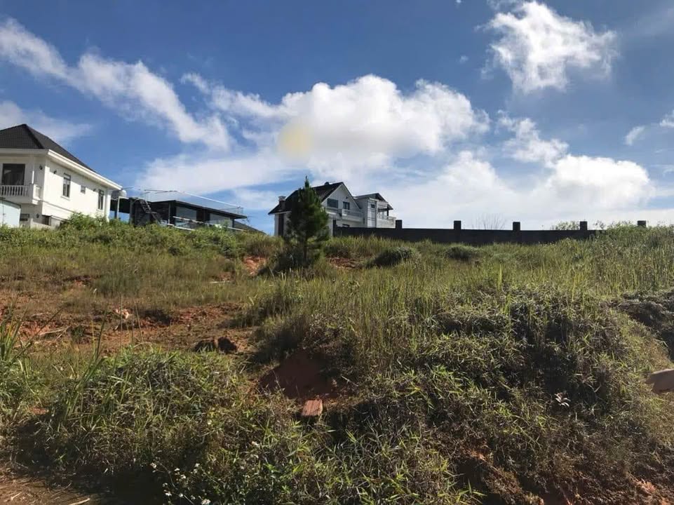 Đất Nền Đỉnh Đồi 401m² Phường 7 Đà Lạt - View Toàn Cảnh 16 Tỷ