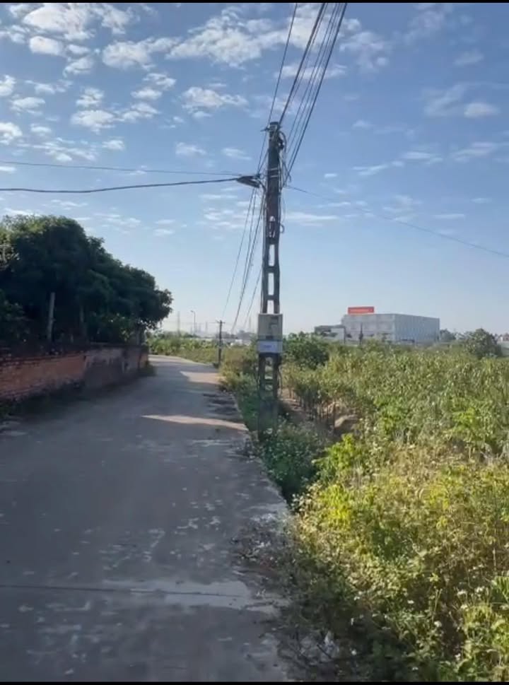 Bán Đất Tân Dĩnh Lạng Giang 90m² - Sổ Sẵn, Đường Thông, Gần Chợ Trường