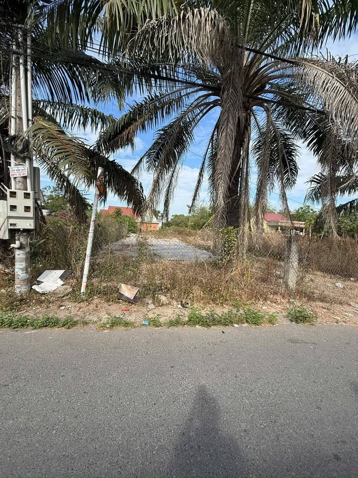 Đất nền Chánh Phú Hòa, Bến Cát 537m² - Sổ riêng, MT 6m thông, sát Chợ