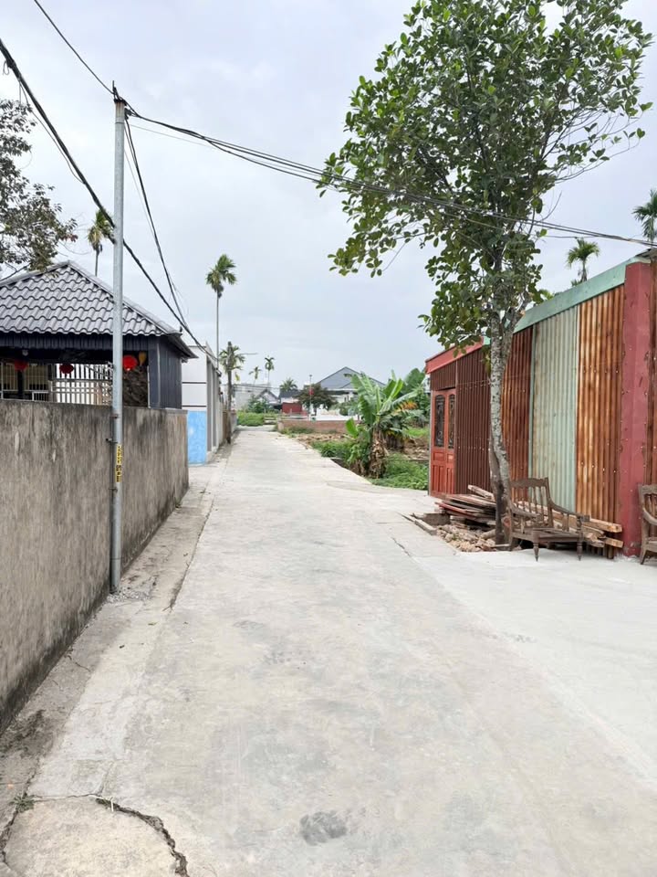 Đất Lô Góc Kiều Hạ 2, An Dương - 55m² - Chỉ 890 Triệu - Sẵn Sàng Xây Nhà Đẹp