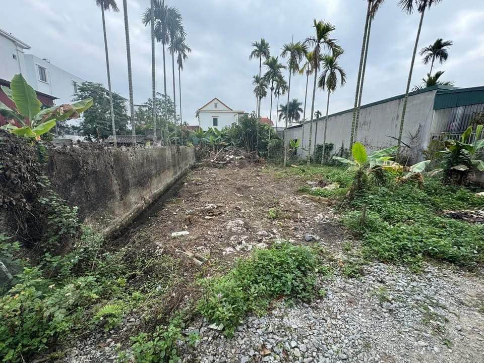 Đất Vàng Trung Tâm Thiên Hương - 100m² - Giá 1.x Tỷ - Sổ Đỏ Sẵn Sàng!