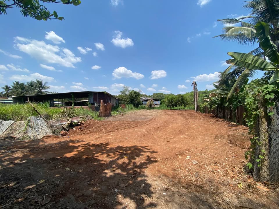 Đất Nền 600m² Xuân Định, Đồng Nai - View Suối Mát Lạnh, Sổ Hồng Riêng