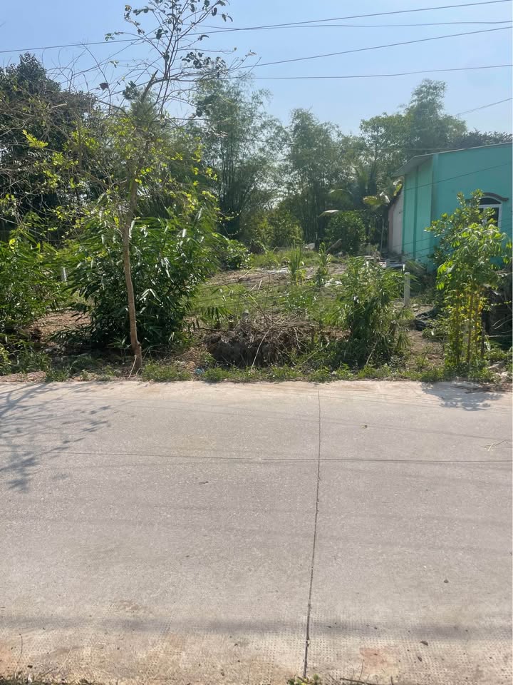 Đất Nền Đức Hòa 282m² SHR - 2 Lô Liền Kề Giá Tốt