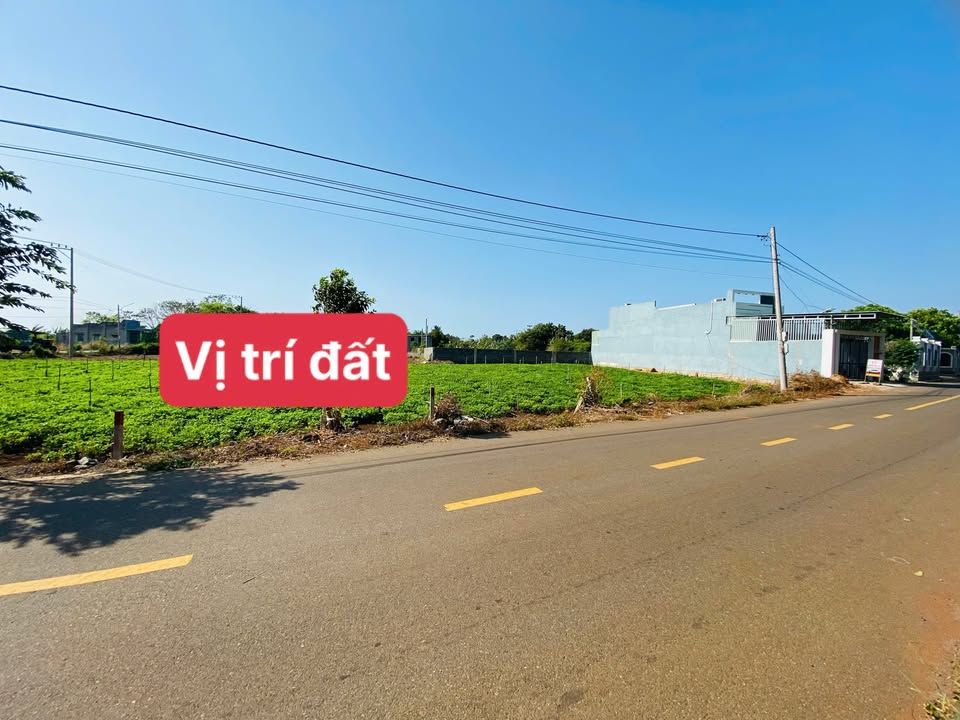 Mặt Tiền Cách Mạng Tháng Tám Đất Đỏ - 180m² Giá 1.3 Tỷ, Kinh Doanh Sầm Uất