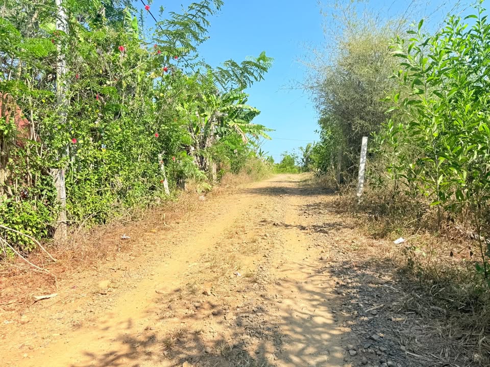 Đất Xuyên Mộc 270m² - Sổ Đỏ Thổ Cư, Sẵn Sàng Xây Dựng