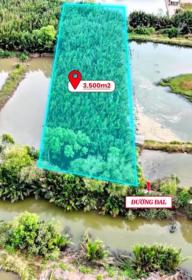 Bán Gấp 3.500m² Đất Nuôi Tôm Mặt Tiền Đường Đal Vĩnh Long - Giá Tốt