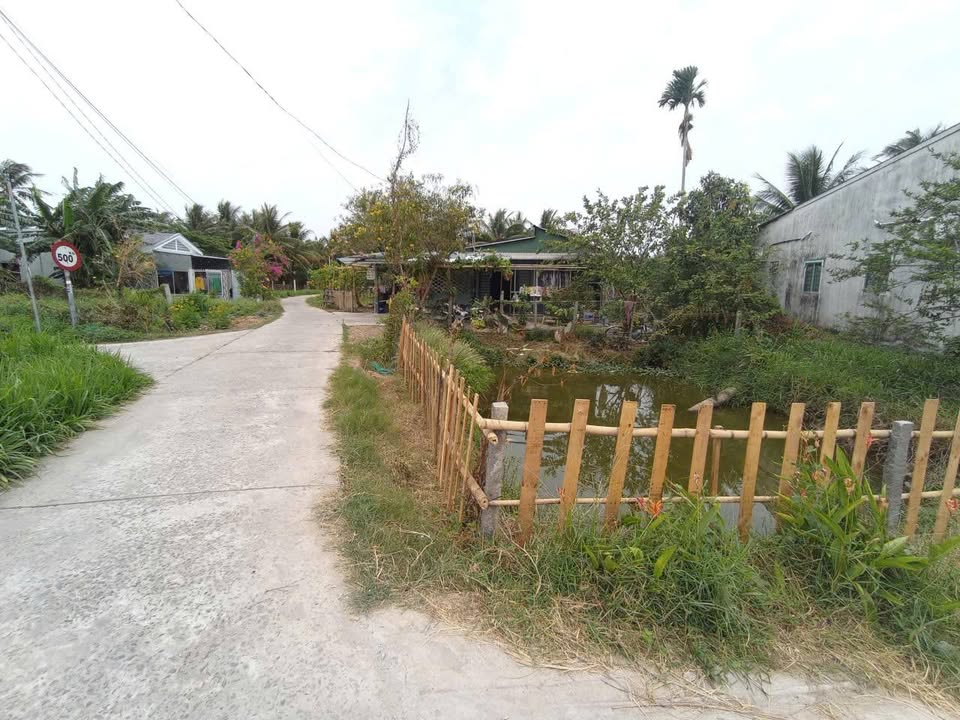 Bán Đất 799m² Mặt Tiền Lộ Ô Tô Xã Nguyệt Hóa, Châu Thành, Trà Vinh - Giá Tốt