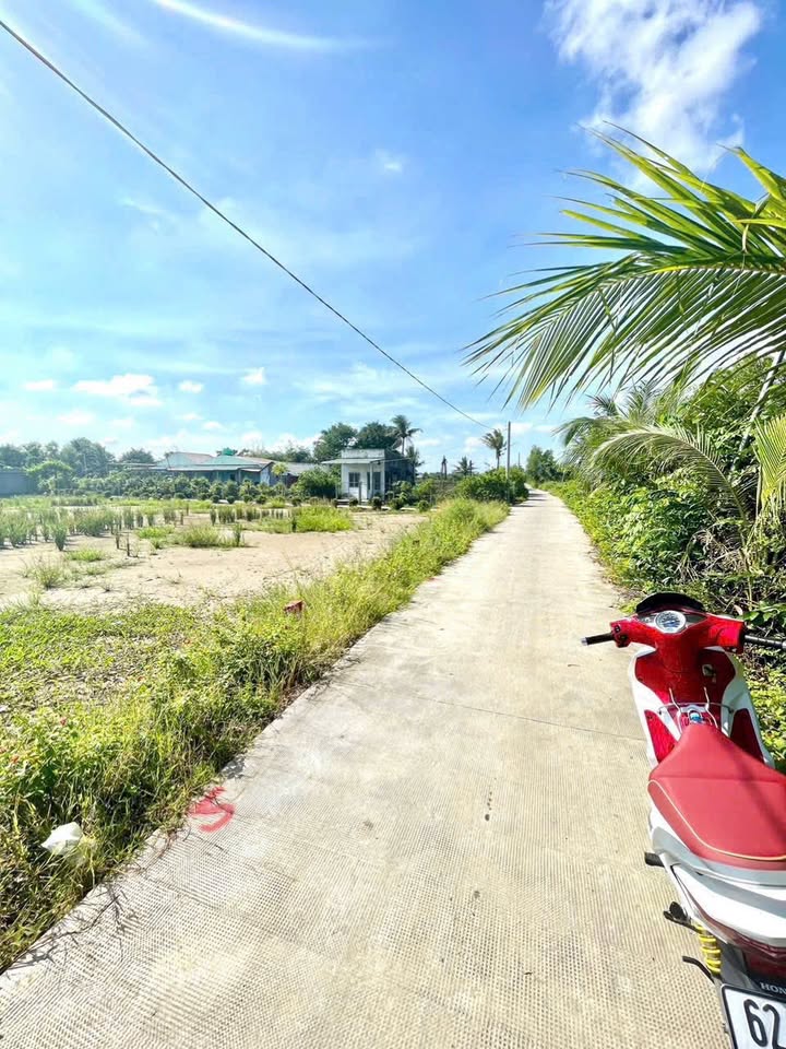 Đất Thổ Cư Mặt Tiền Nguyễn Văn Cung, Hòa Thành - Sổ Hồng Sẵn Sàng